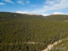 1 Co Road Fairplay, CO 80440 - Photo 5 of 5 Gallery Image 5