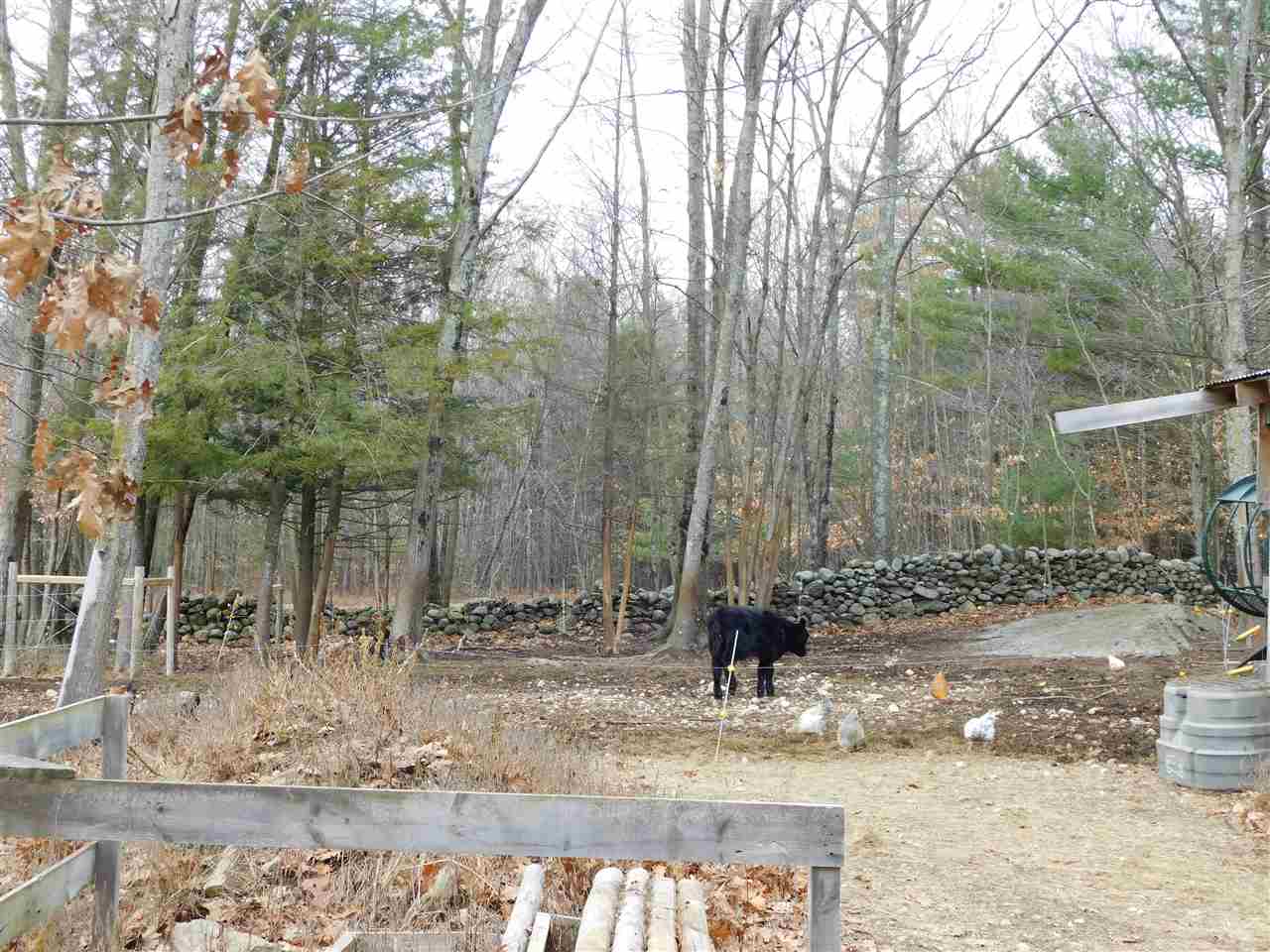 117-119 Ten Rod Road Farmington, NH 03835 - Photo 14 of 29