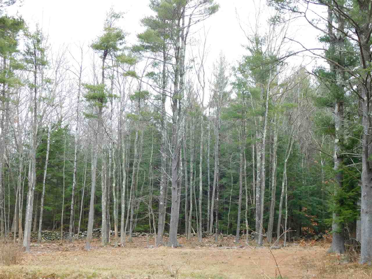 117-119 Ten Rod Road Farmington, NH 03835 - Photo 8 of 29