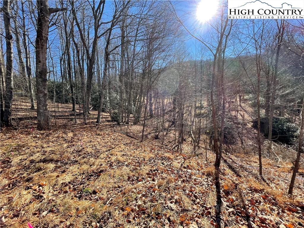 Lot 4 North Kinsale Drive Boone, NC 28607 - Photo 6 of 9 a view of outdoor space with trees