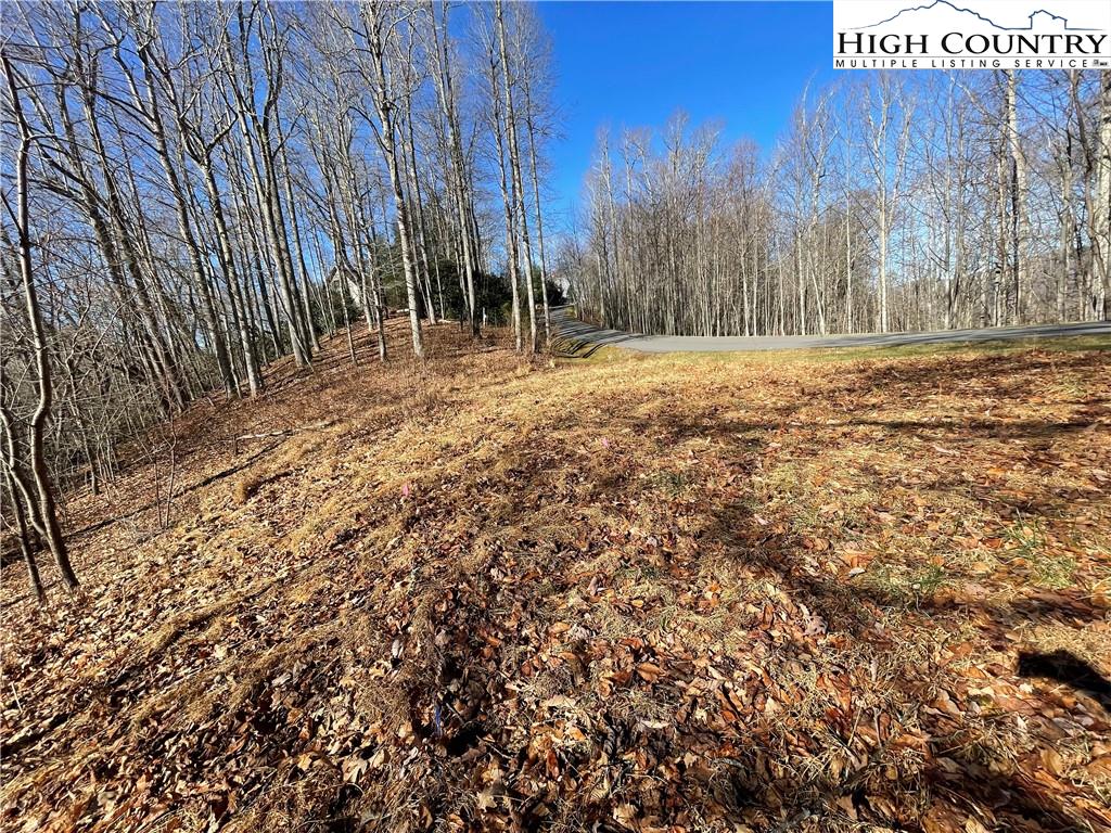 Lot 4 North Kinsale Drive Boone, NC 28607 - Photo 8 of 9