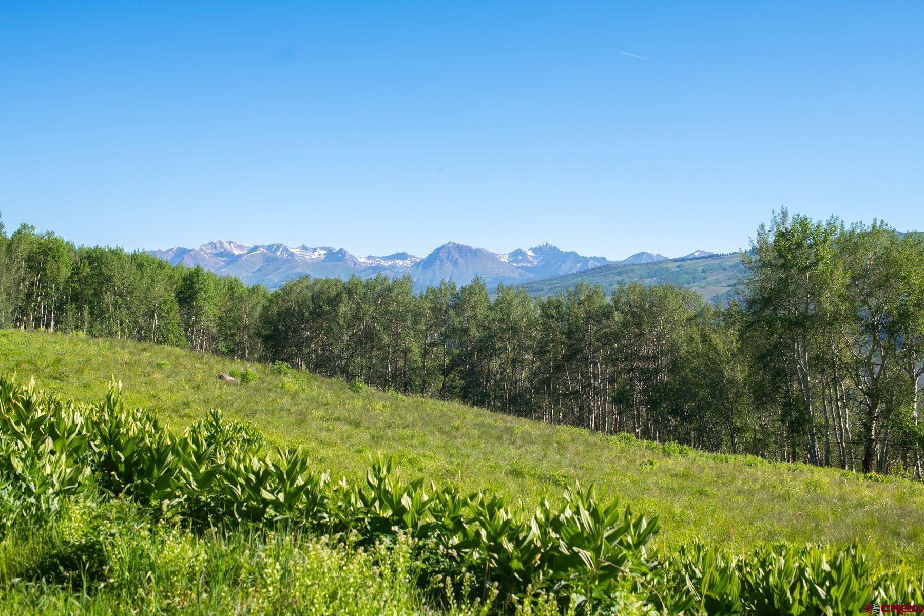 2177 Aspen Mountain Road Almont, CO 81210 - Photo 12 of 20