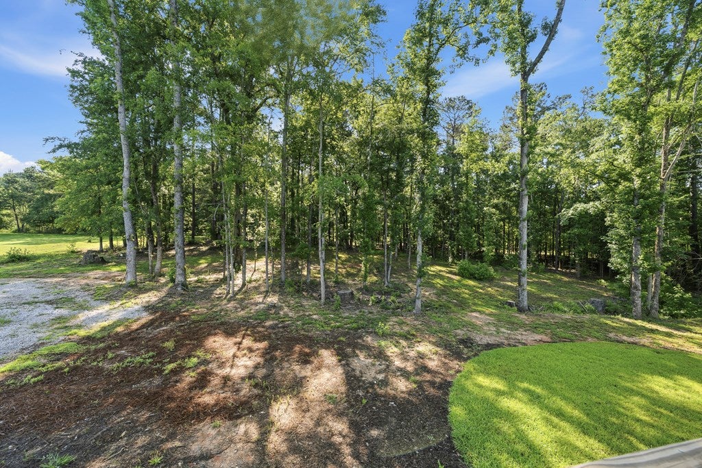 313 Scuffleboro Road Southeast Eatonton, GA 31024 - Photo 6 of 46 Gallery Image 6