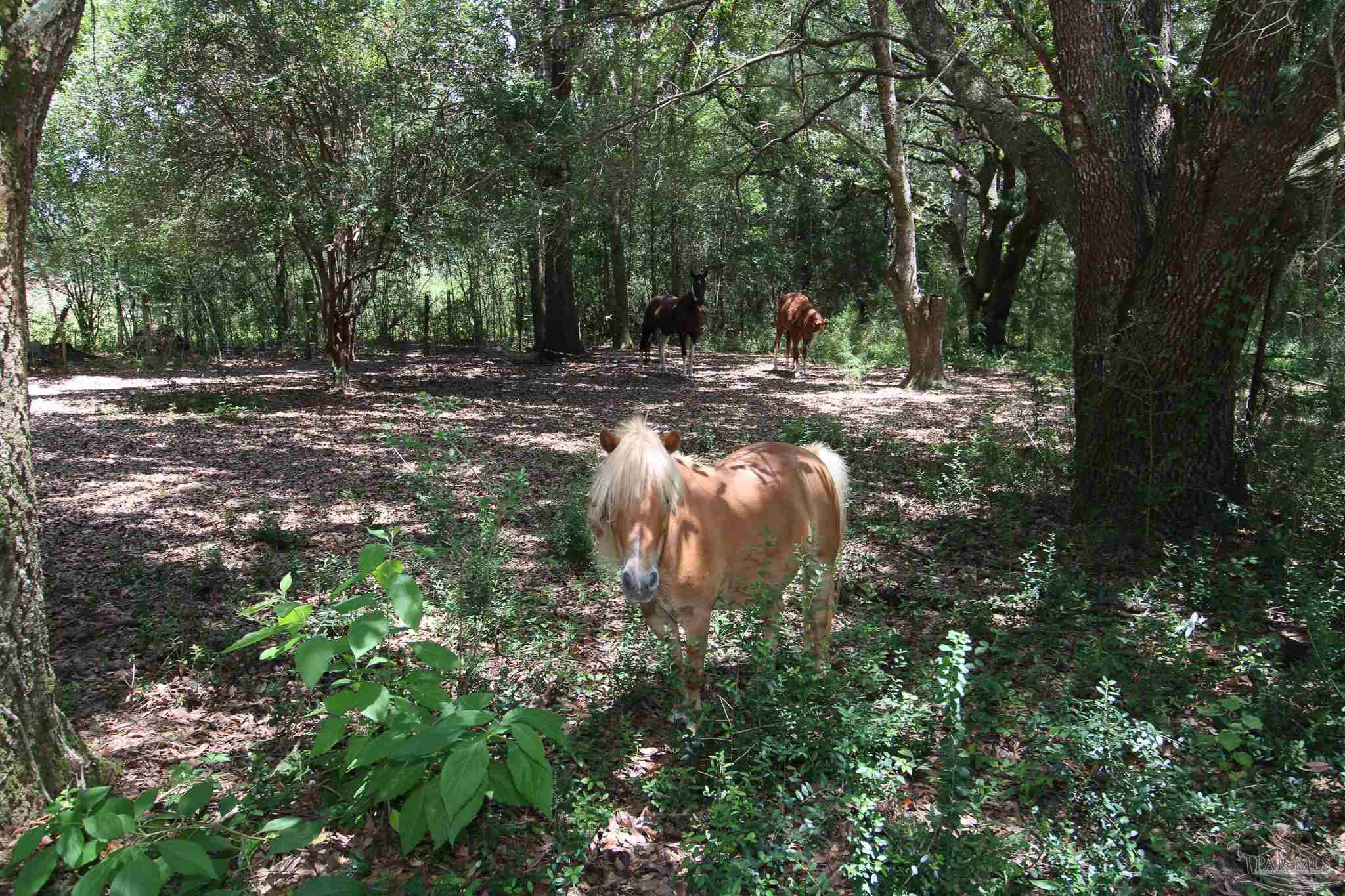 9210 Hay Meadow Road Milton, FL 32583 - Photo 26 of 28 Gallery Image 26