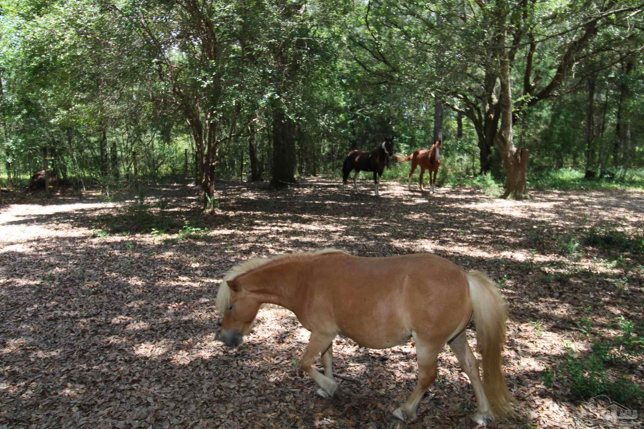 9210 Hay Meadow Road Milton, FL 32583 - Photo 27 of 28 Gallery Image 27