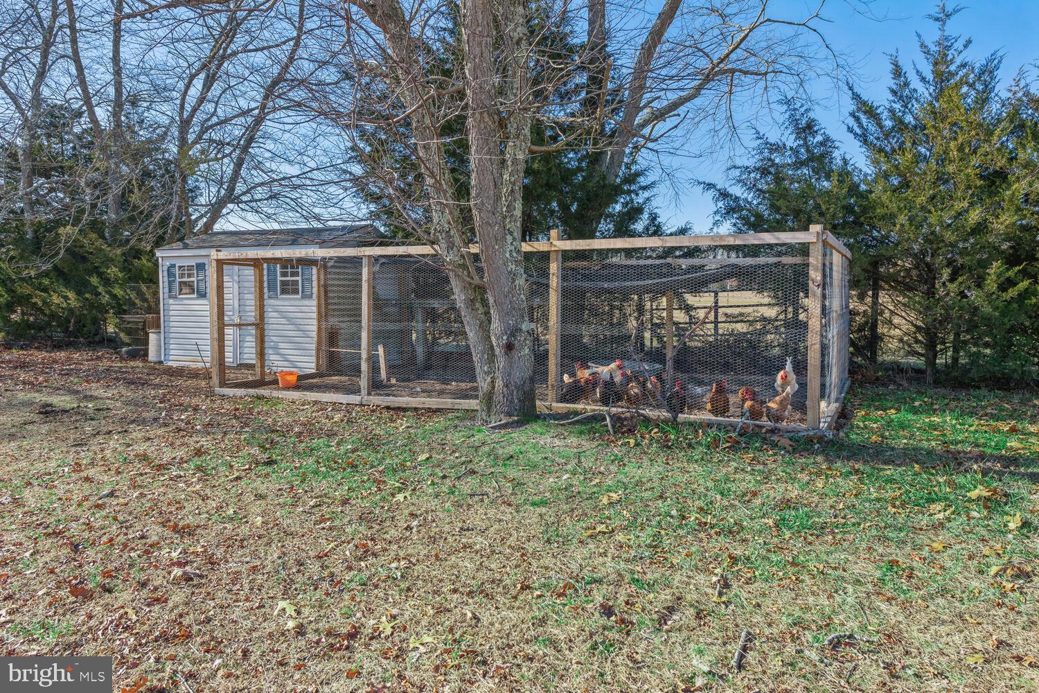 1007 Lincoln Avenue Atco, NJ 08004 - Photo 31 of 47 room for all