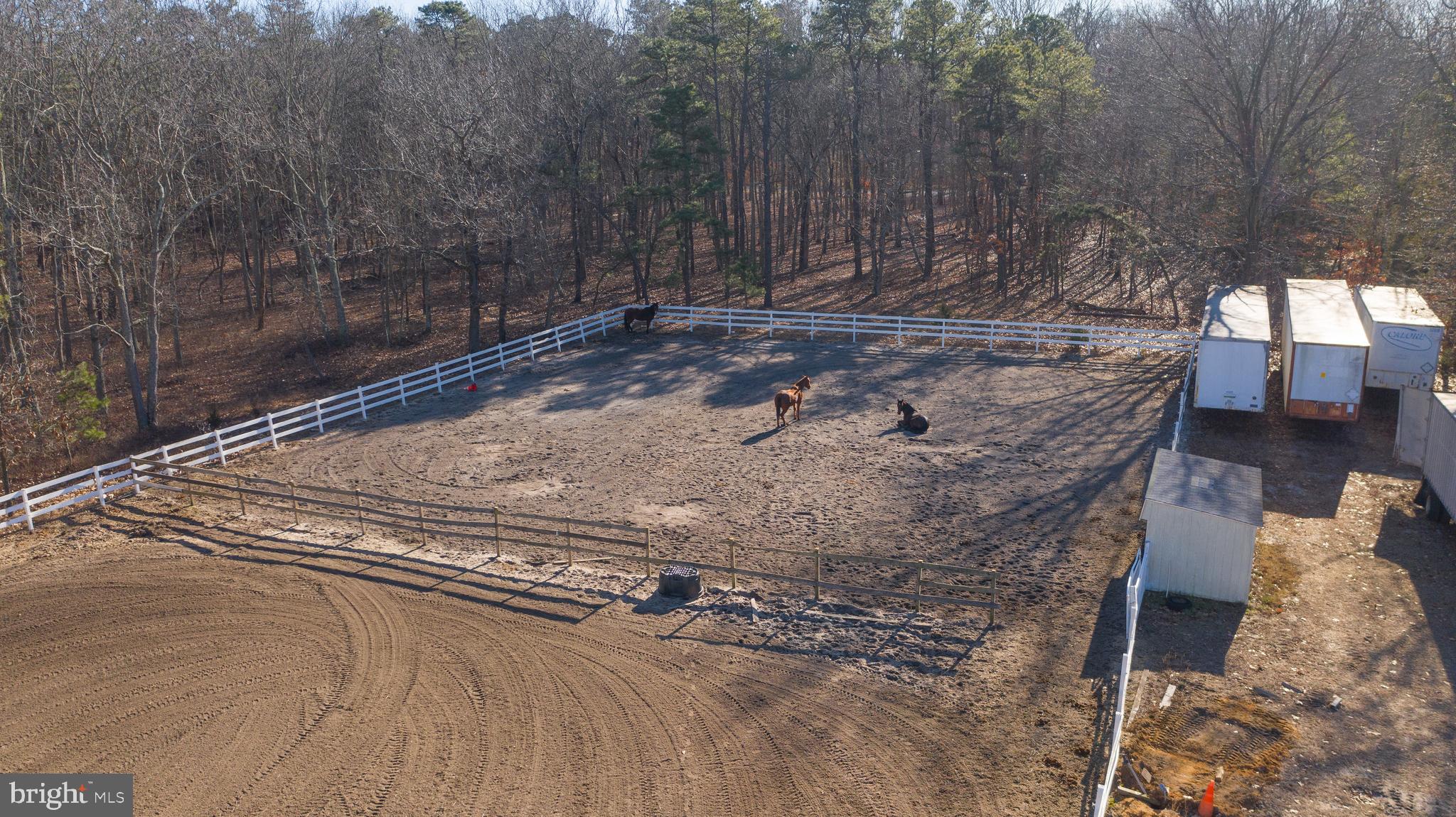 1007 Lincoln Avenue Atco, NJ 08004 - Photo 40 of 47 Wooded for shade