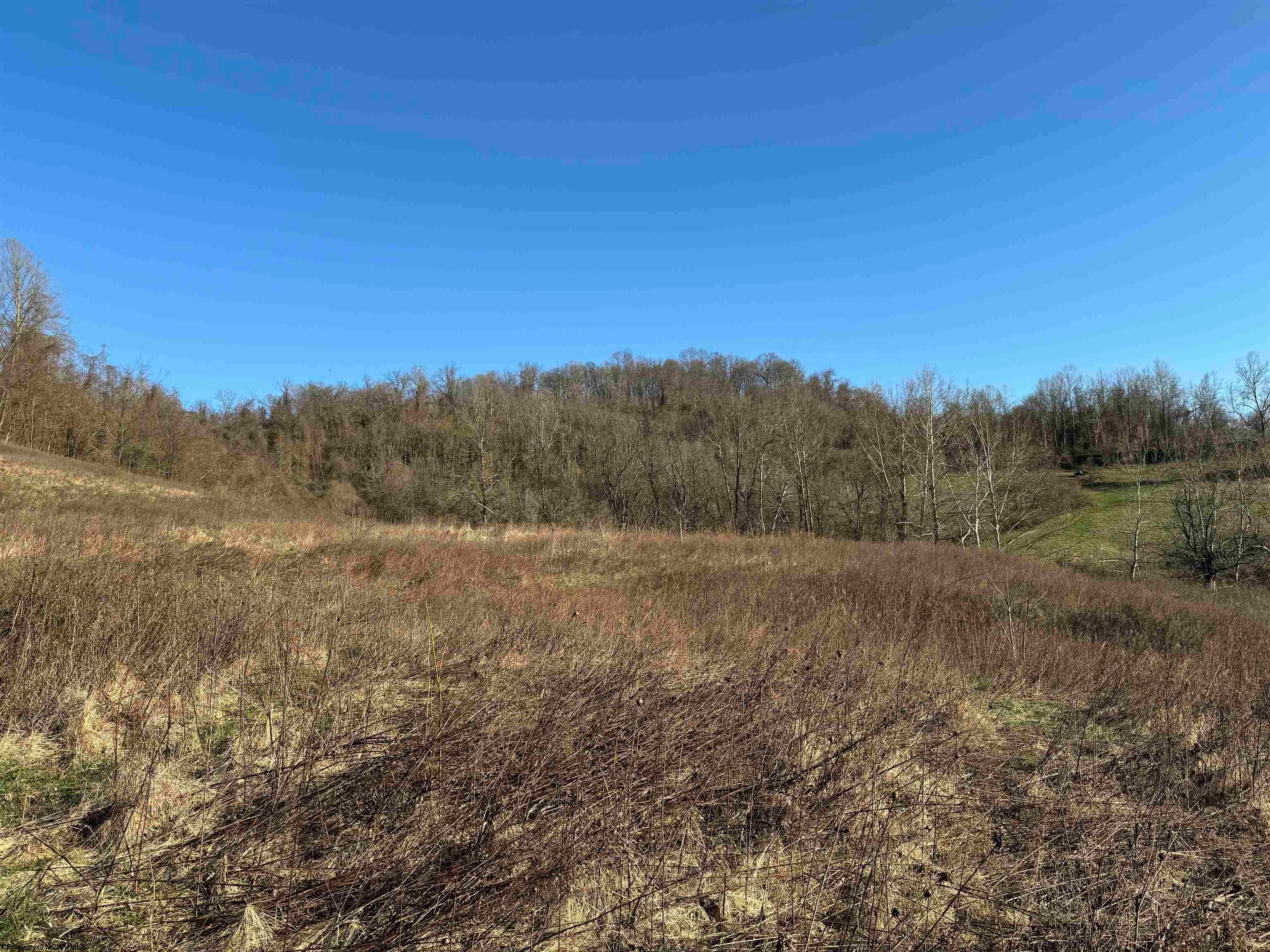 Tbd Koons Run Road Fairmont, WV 26554 - Photo 2 of 7 Gallery Image 2