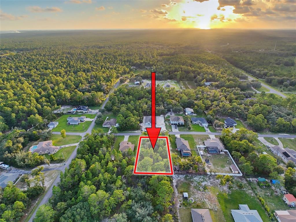 13058 Manistee Road Weeki Wachee, FL 34614 - Photo 1 of 13 Gallery Image 1