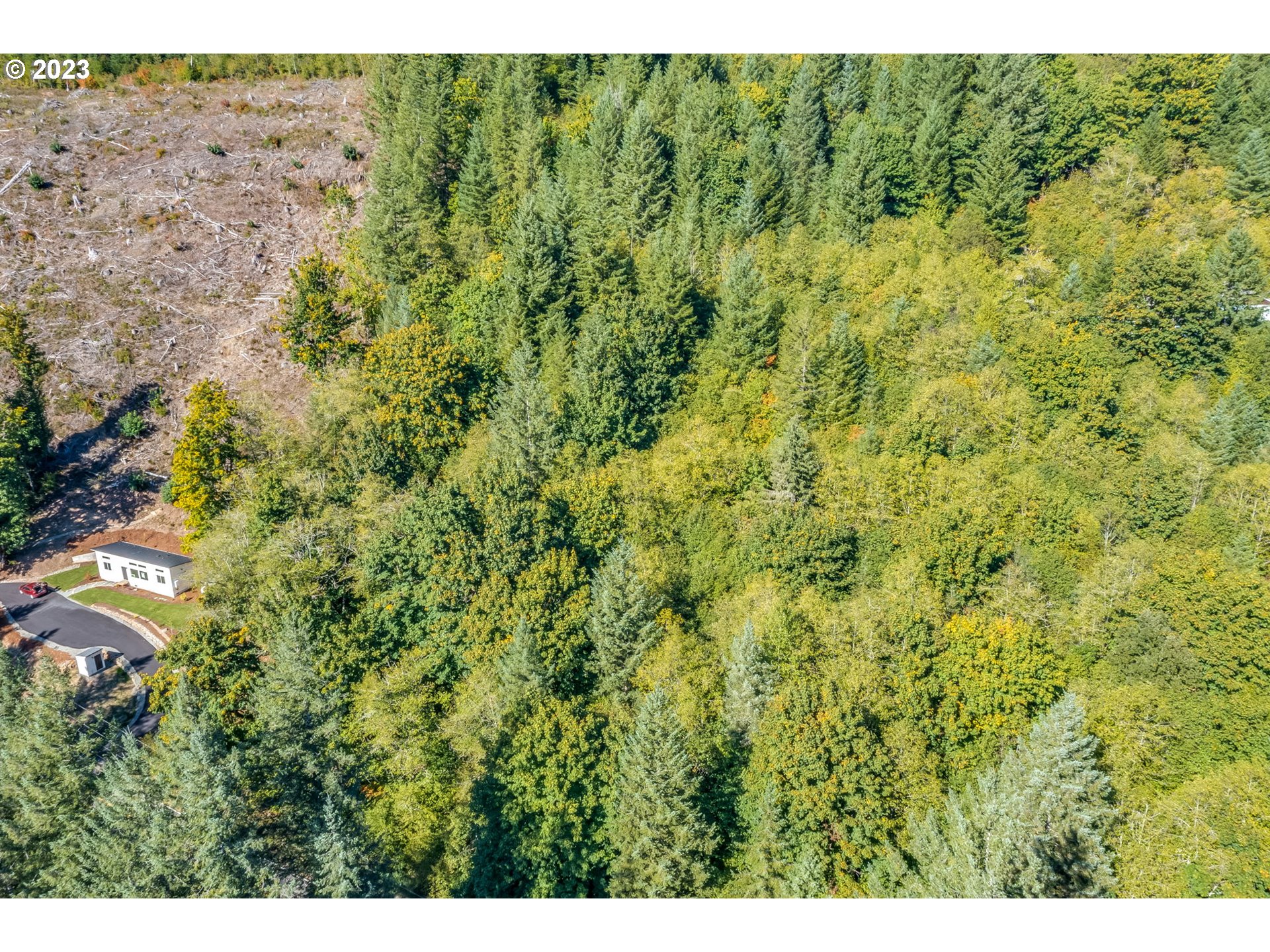 Northeast Sunset Falls Road Yacolt, WA 98675 - Photo 13 of 20