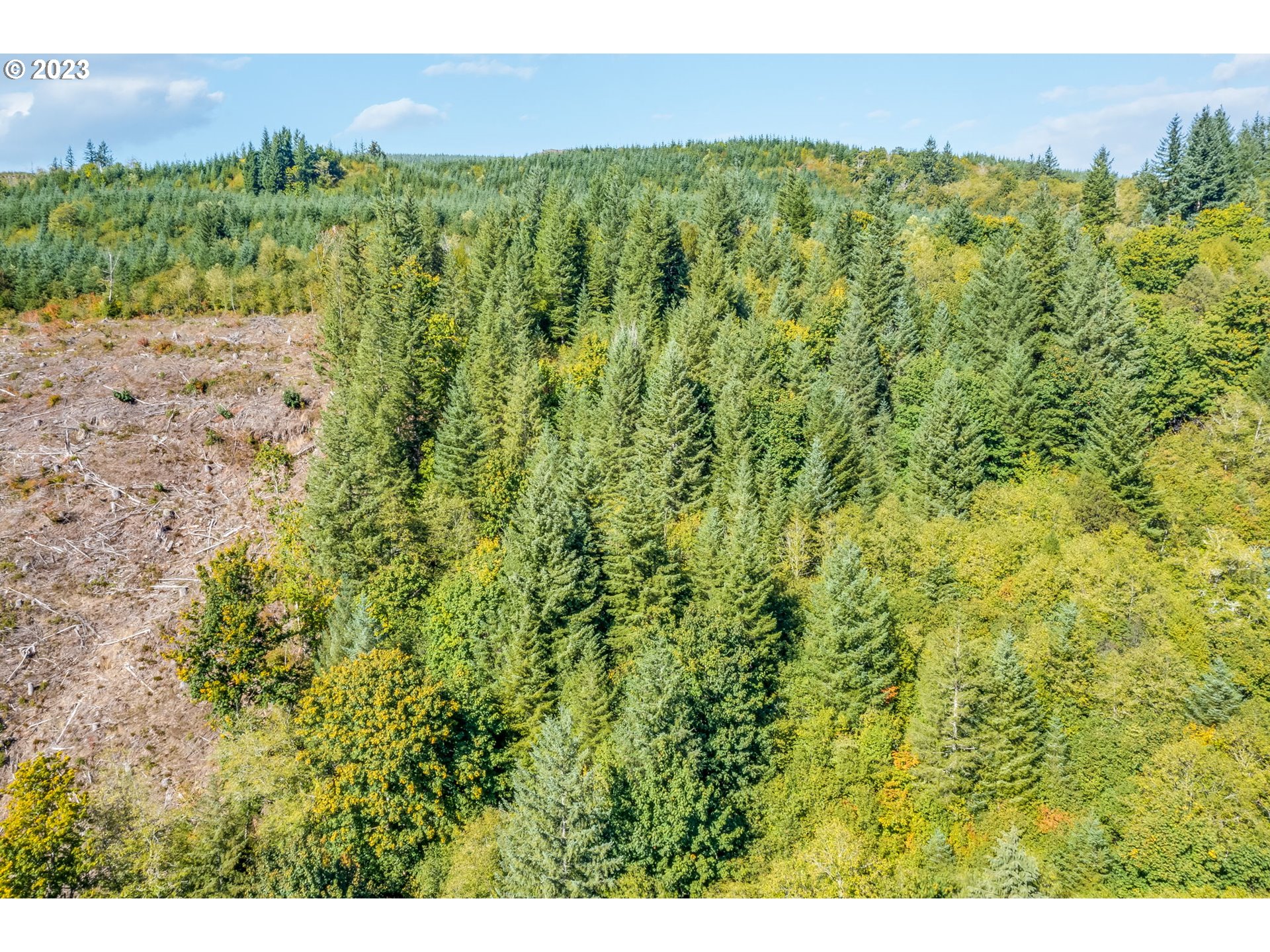 Northeast Sunset Falls Road Yacolt, WA 98675 - Photo 14 of 20