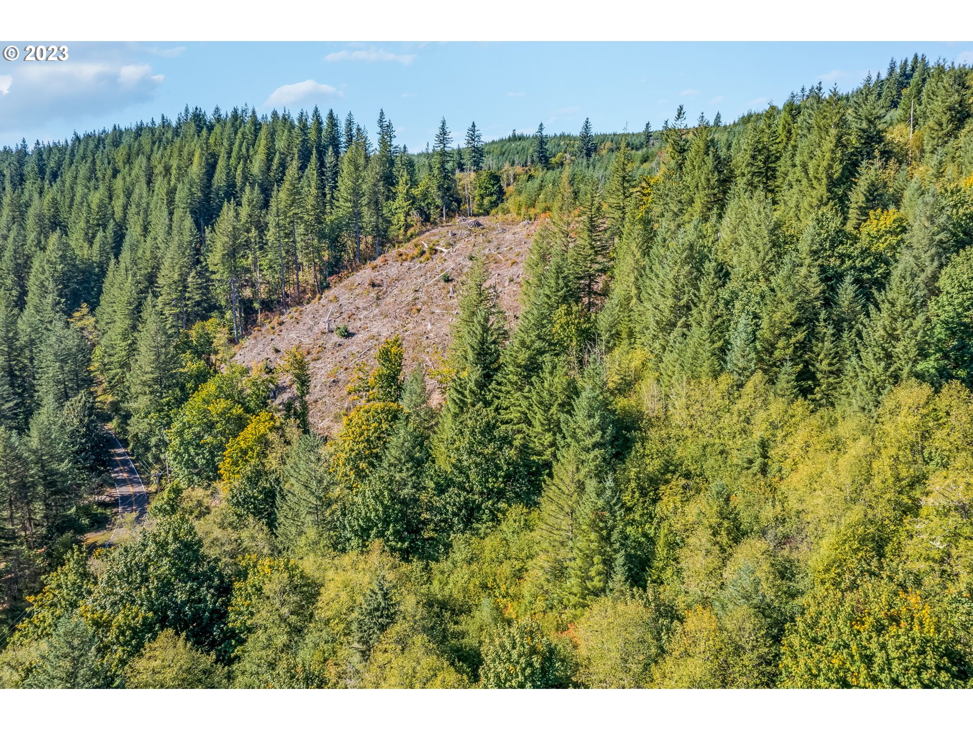 Northeast Sunset Falls Road Yacolt, WA 98675 - Photo 4 of 20