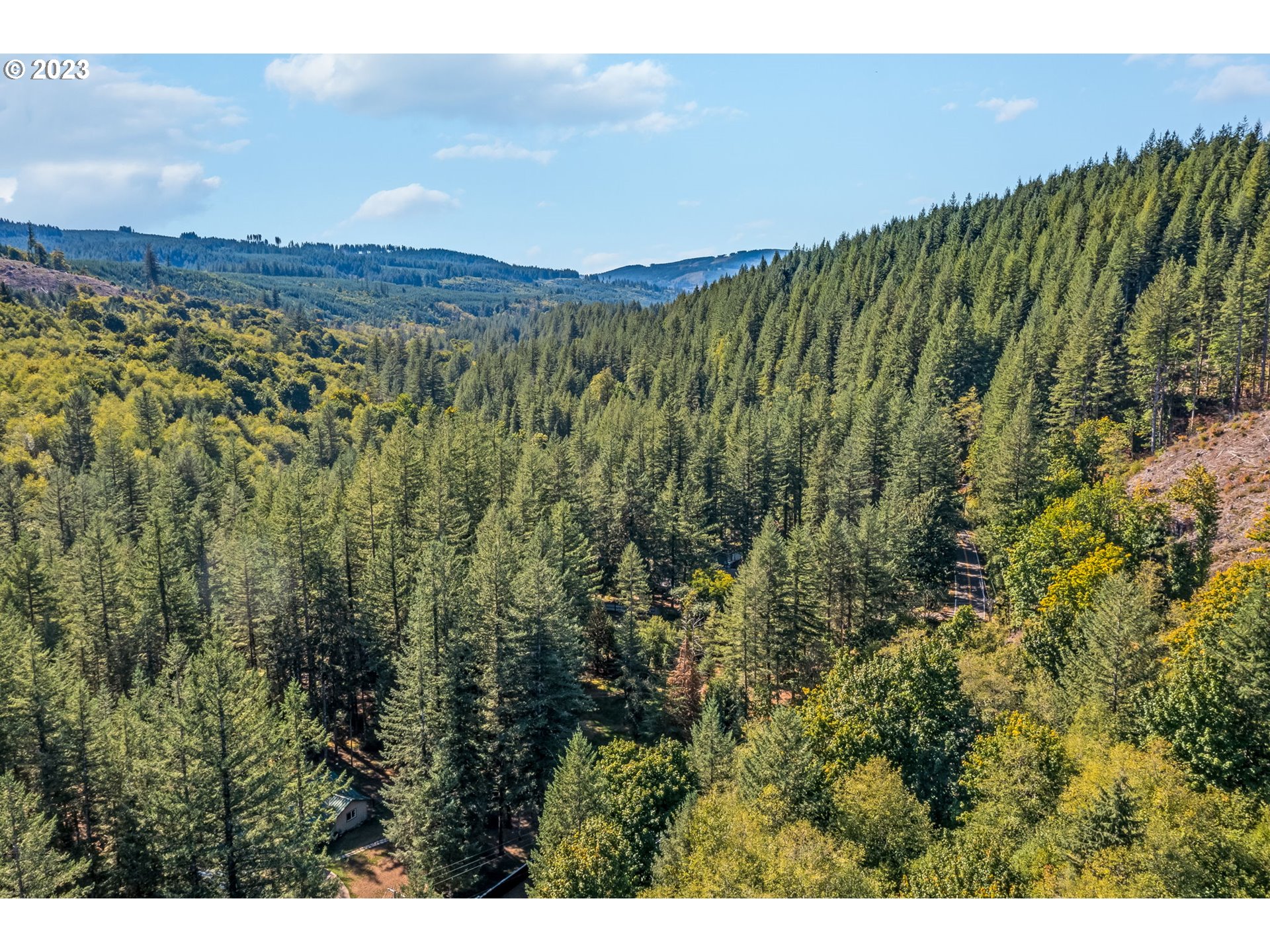 Northeast Sunset Falls Road Yacolt, WA 98675 - Photo 5 of 20