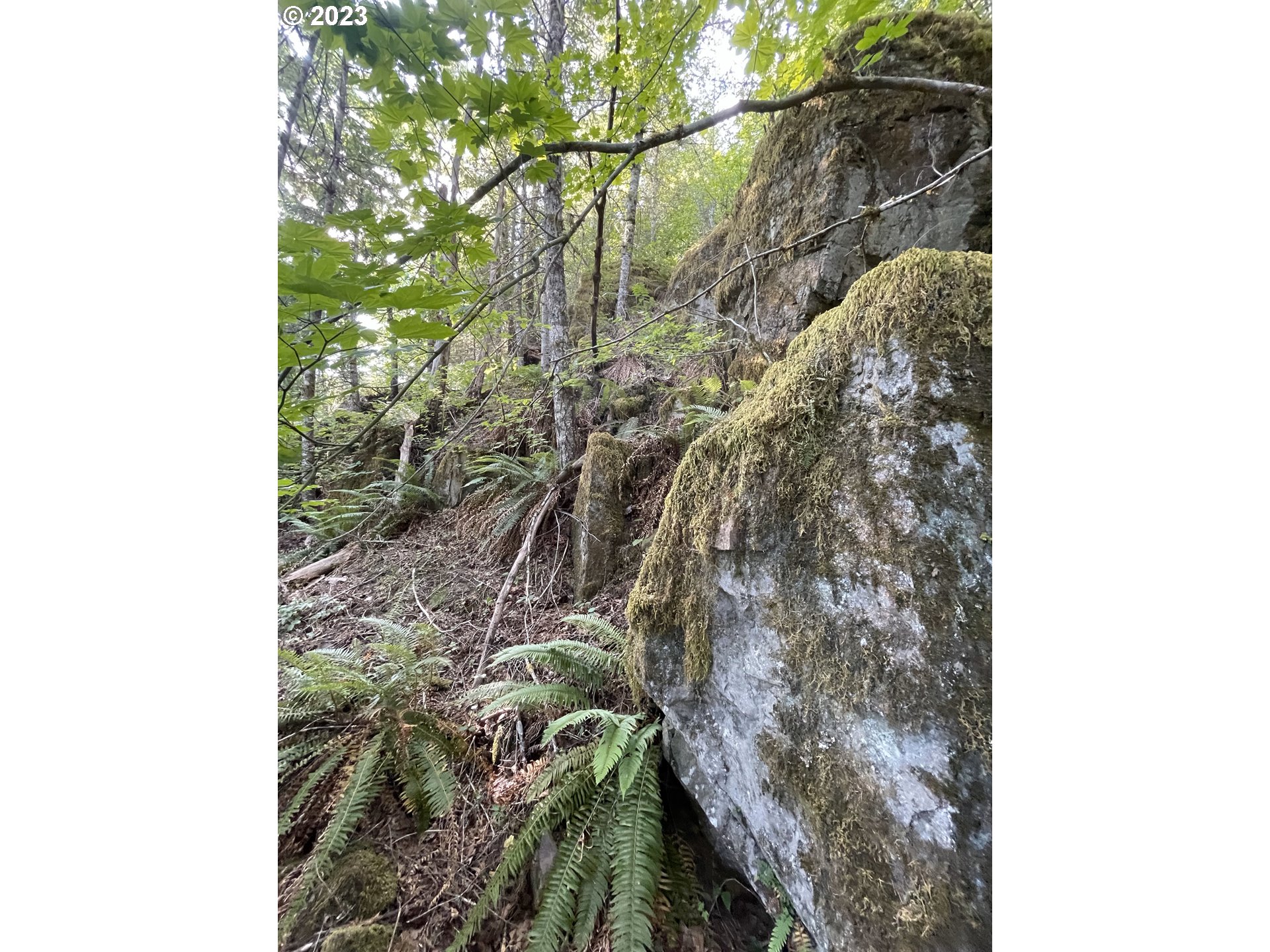 Northeast Sunset Falls Road Yacolt, WA 98675 - Photo 6 of 20