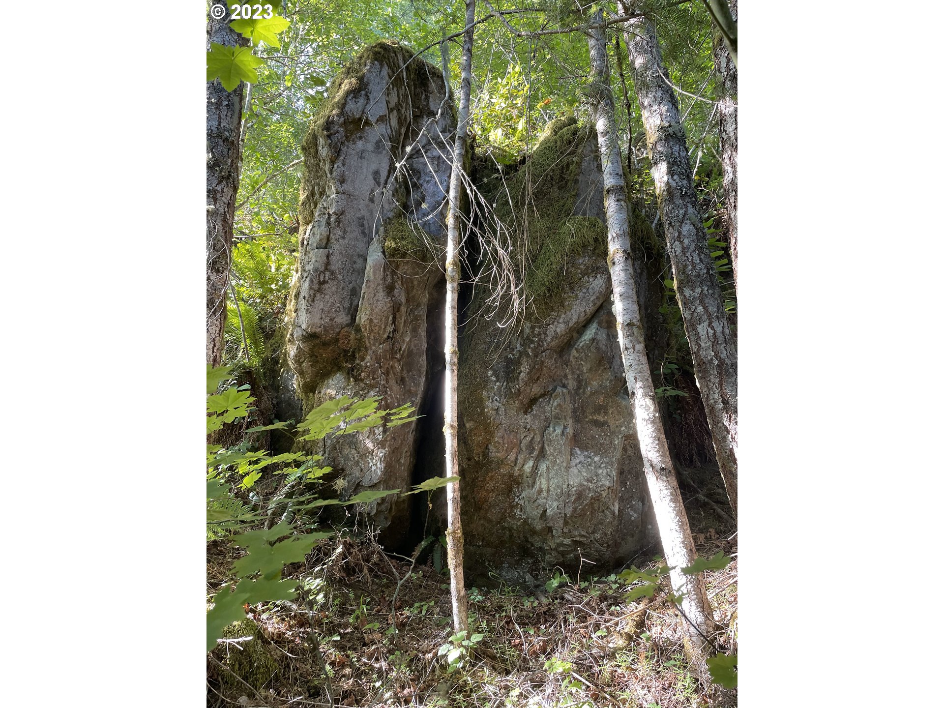 Northeast Sunset Falls Road Yacolt, WA 98675 - Photo 7 of 20