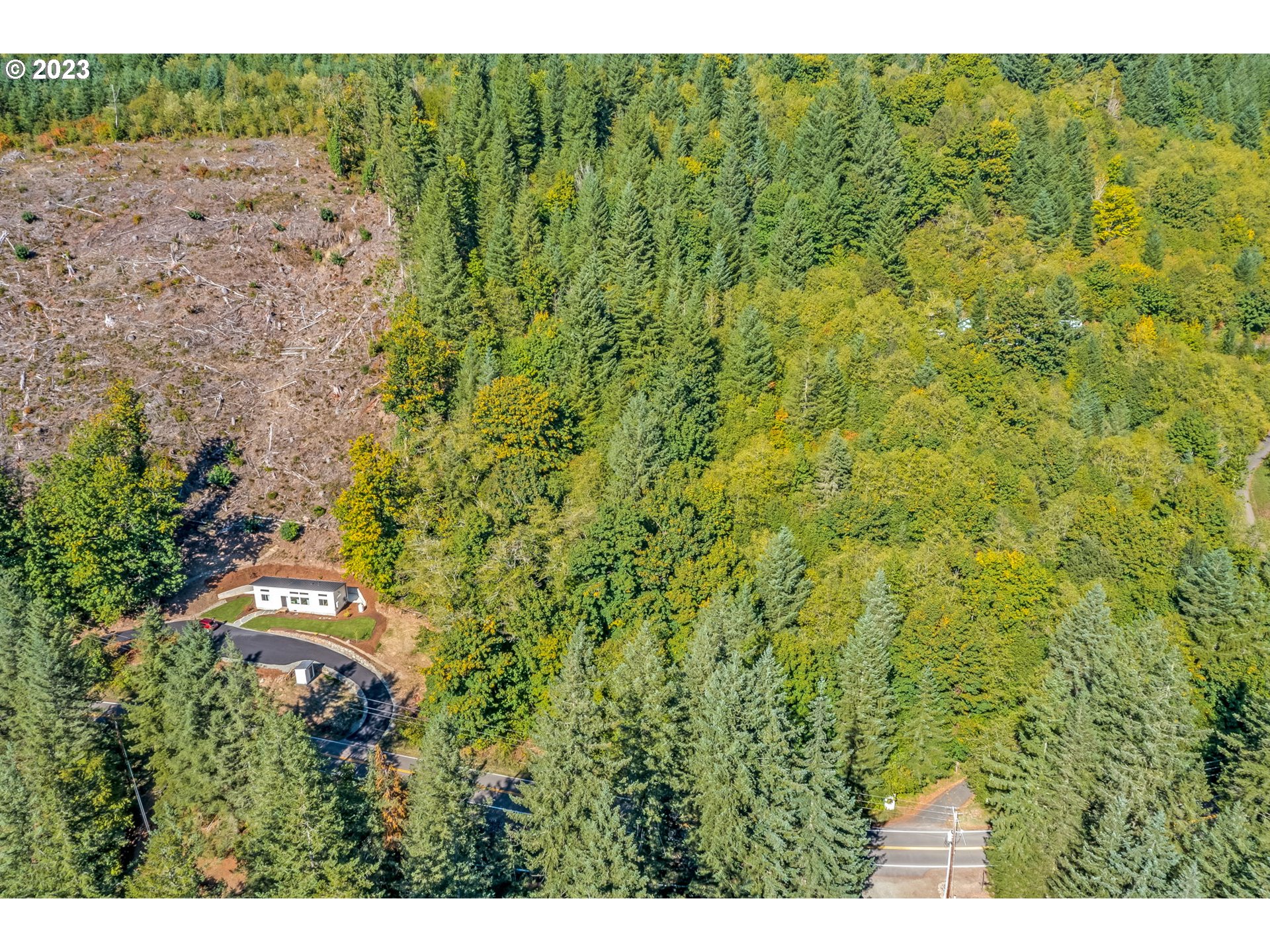 Northeast Sunset Falls Road Yacolt, WA 98675 - Photo 8 of 20