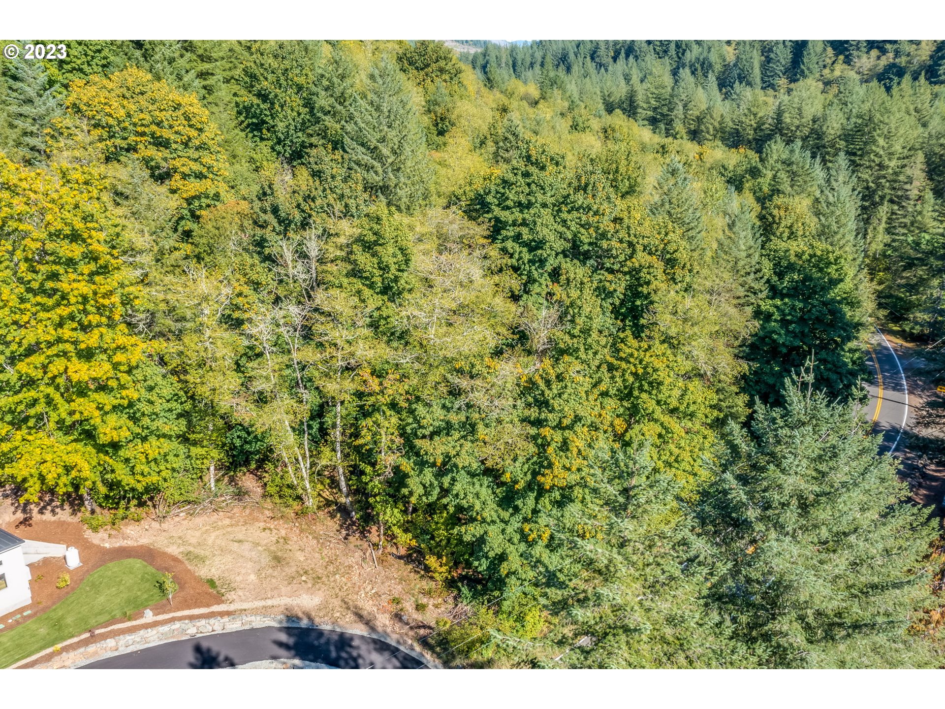 Northeast Sunset Falls Road Yacolt, WA 98675 - Photo 9 of 20