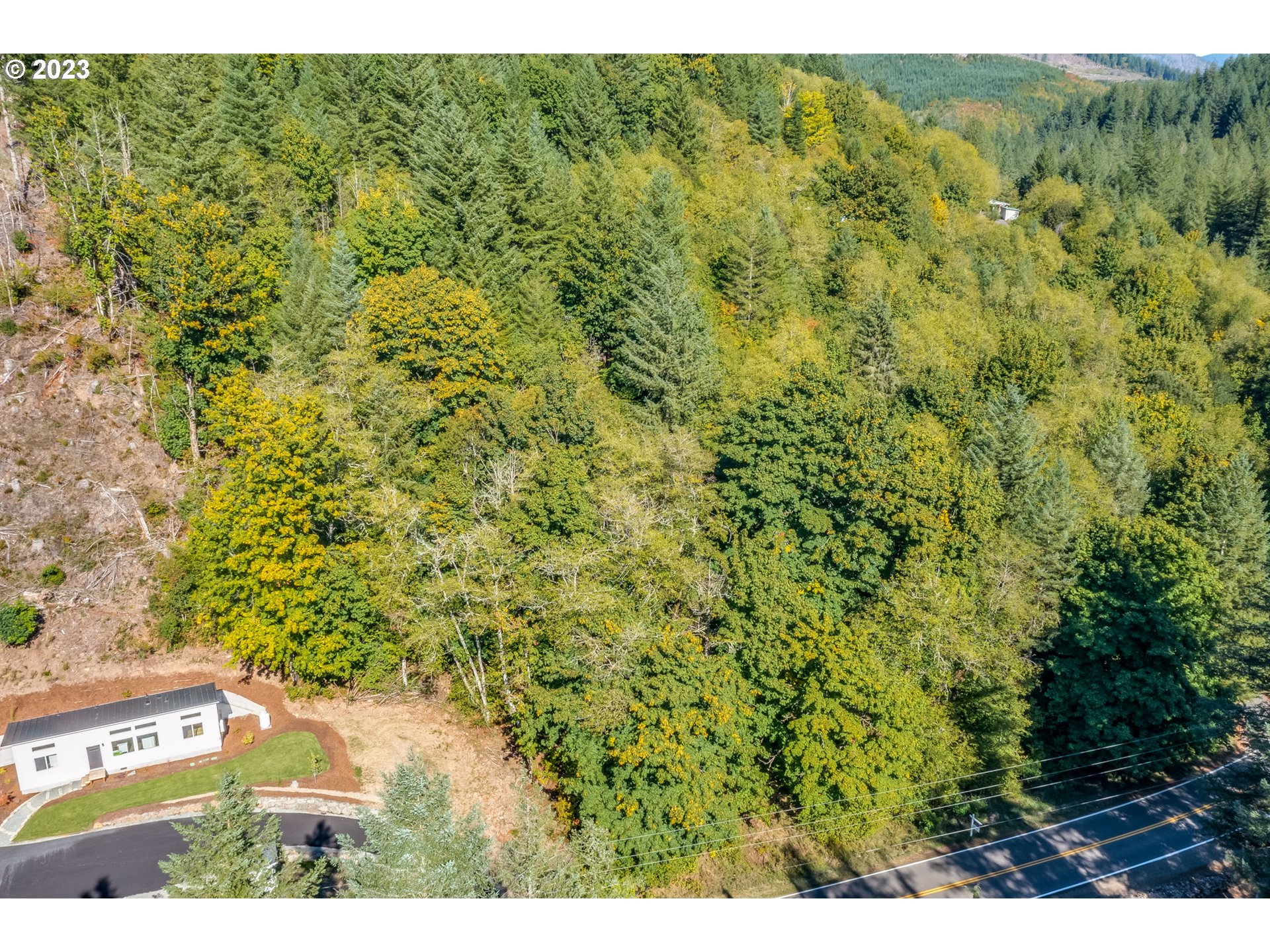 Northeast Sunset Falls Road Yacolt, WA 98675 - Photo 10 of 20