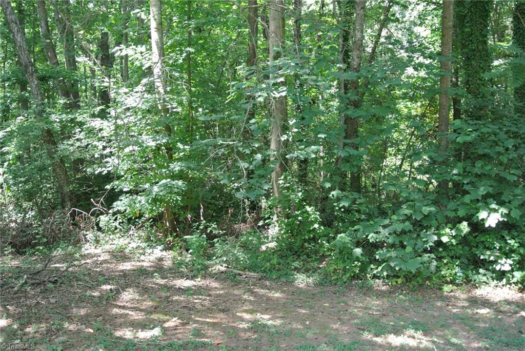1147 Pine Top Road Lexington, NC 27295 - Photo 36 of 38 woods