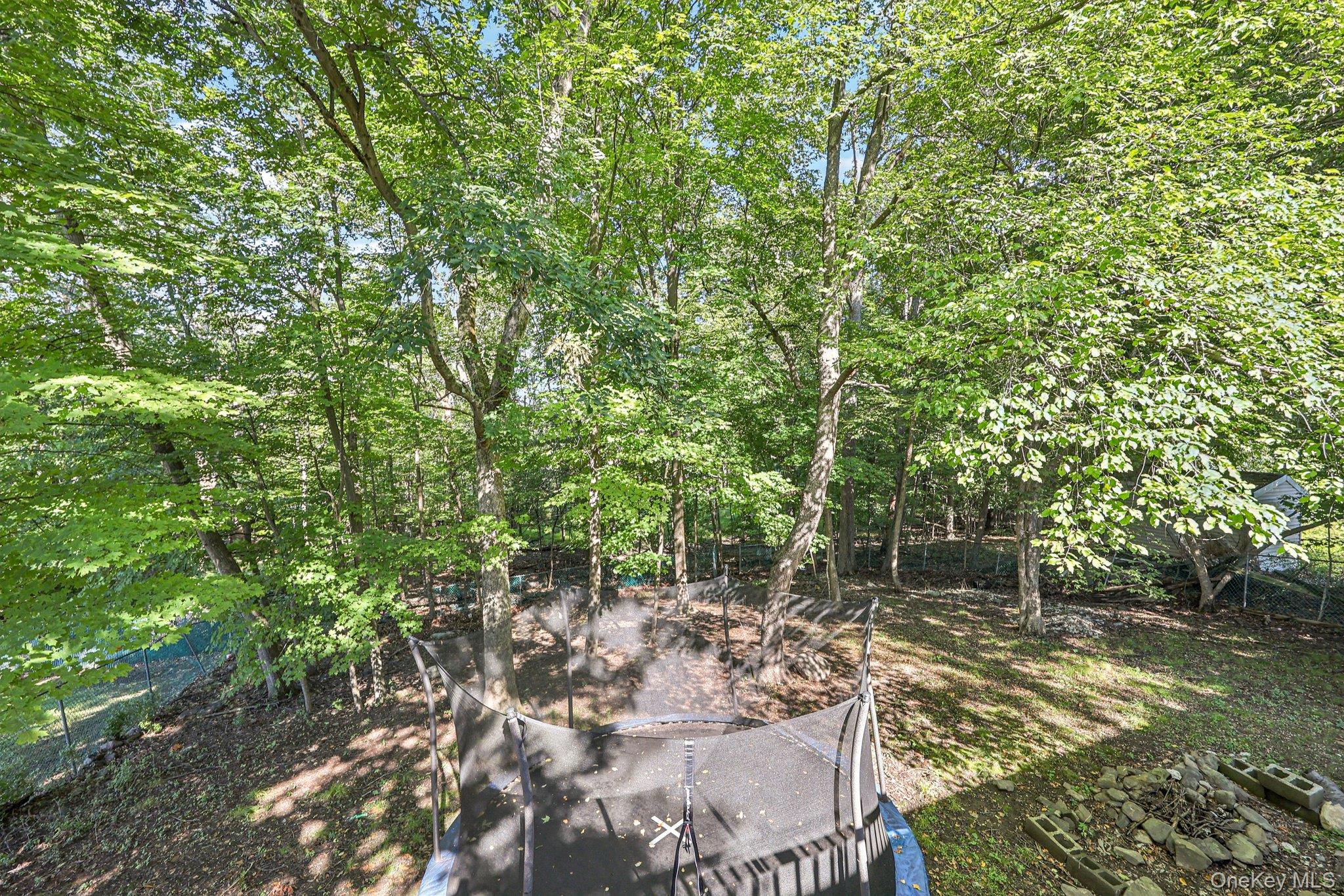 9 Crane Road Middletown, NY 10941 - Photo 24 of 31 View of yard