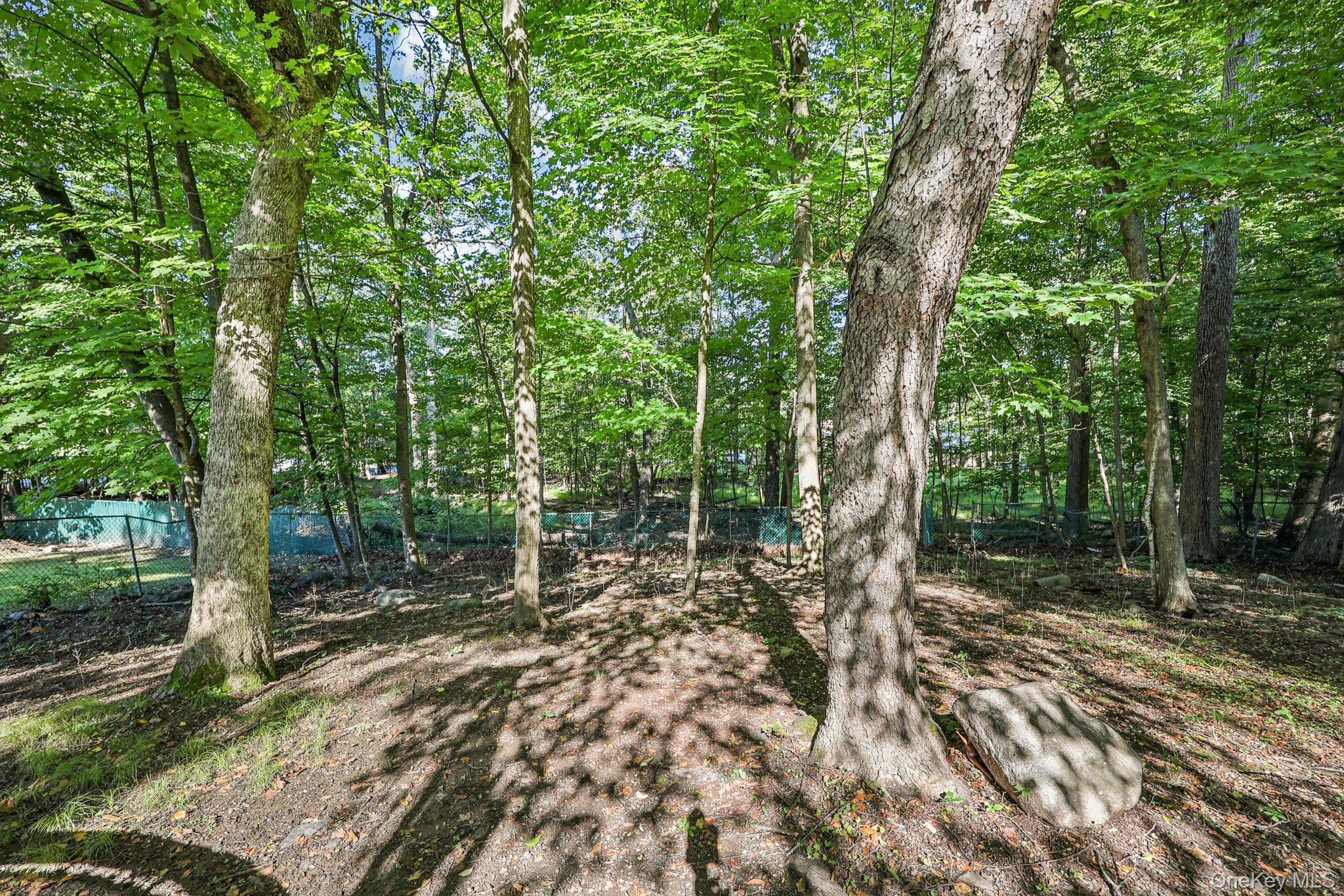 9 Crane Road Middletown, NY 10941 - Photo 25 of 31 View of yard