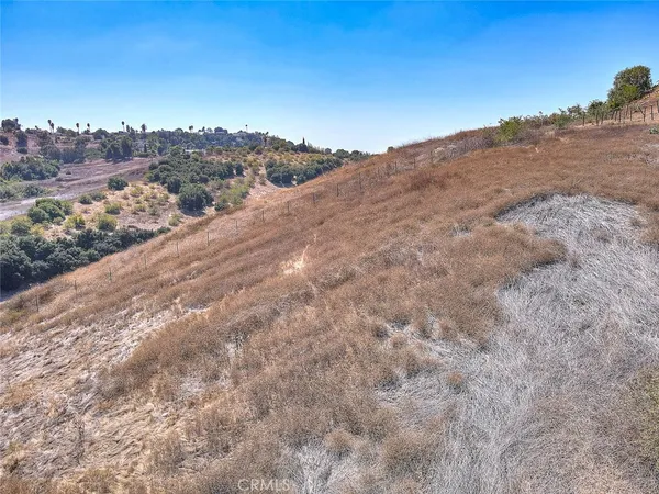 an aerial view of mountain and tree in the background
