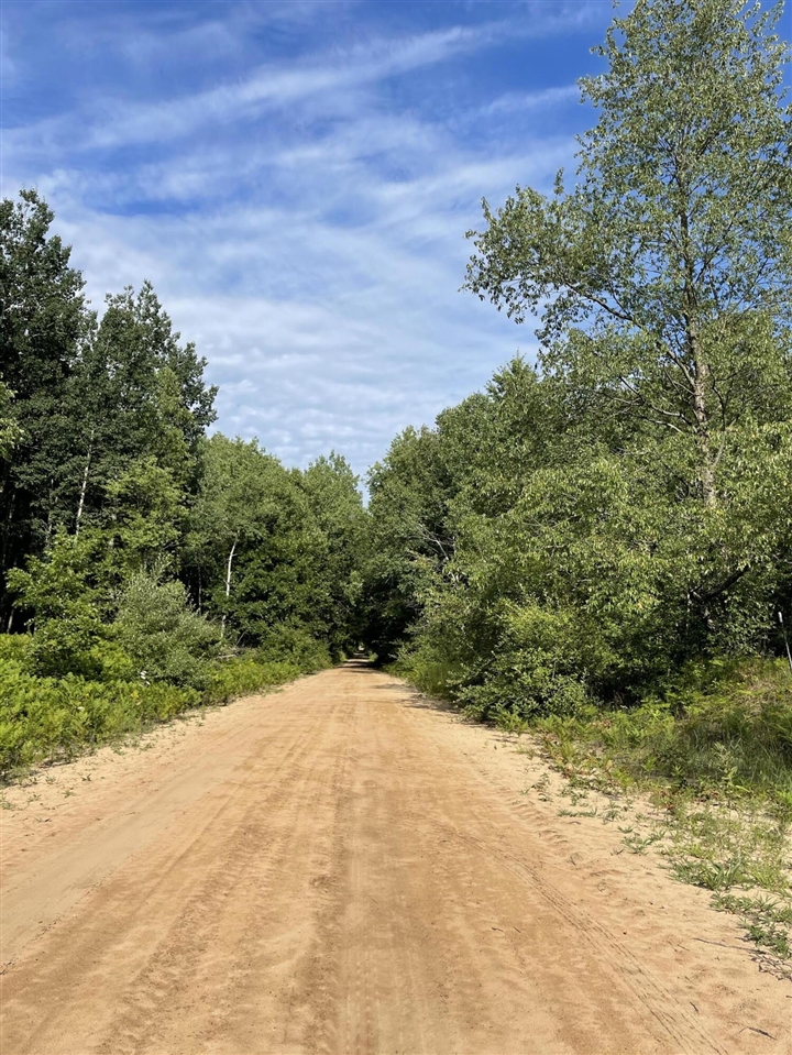 Beyer Road Road Free Soil, MI 49411 - Photo 21 of 46
