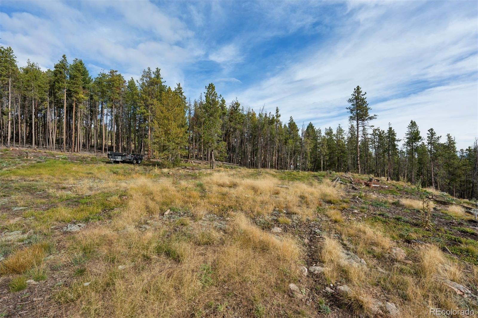 8570 South Warhawk Road Conifer, CO 80433 - Photo 11 of 29 Gallery Image 11