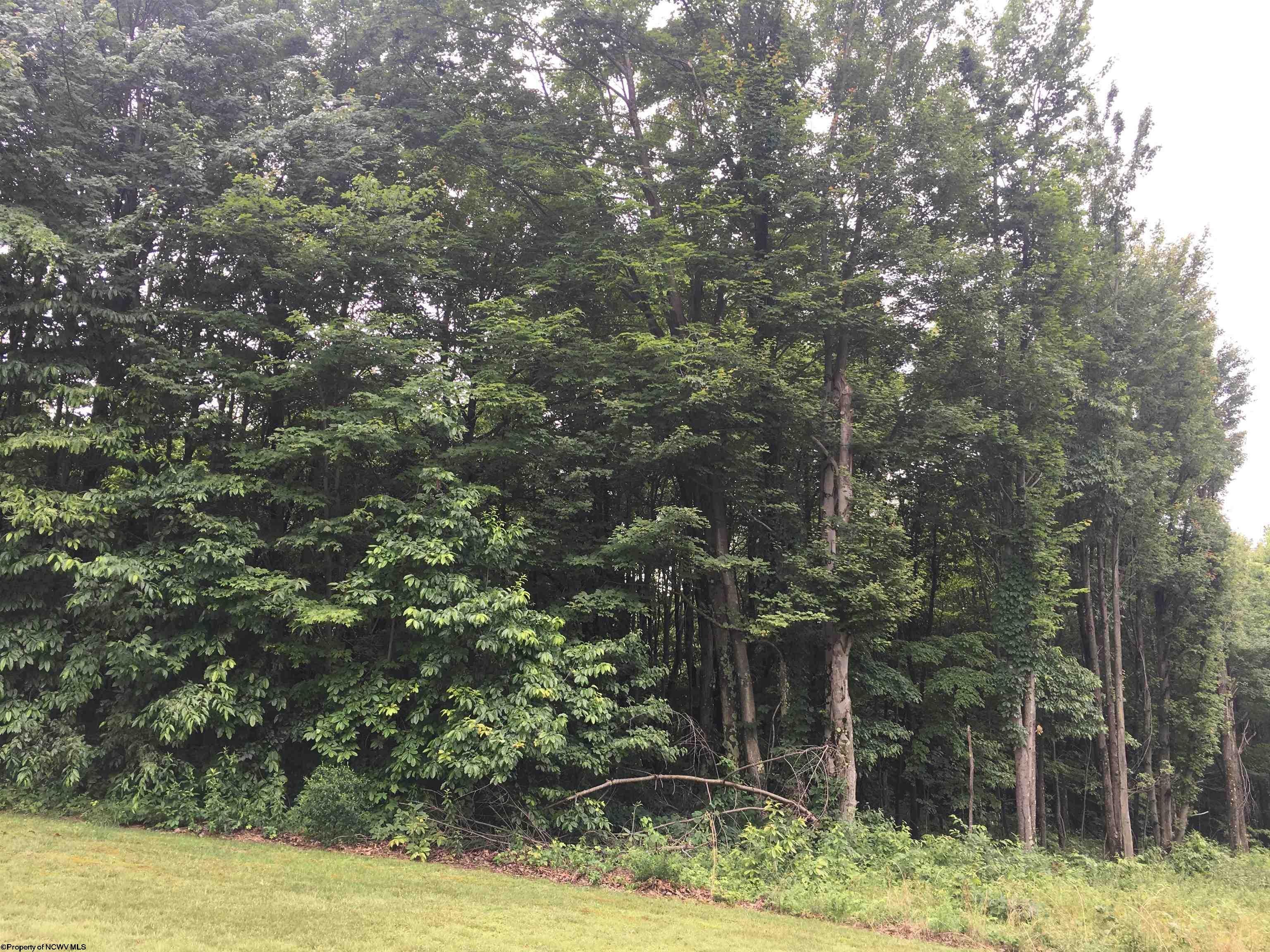 455 Wades Run Road Morgantown, WV 26501 - Photo 5 of 18 Gallery Image 5