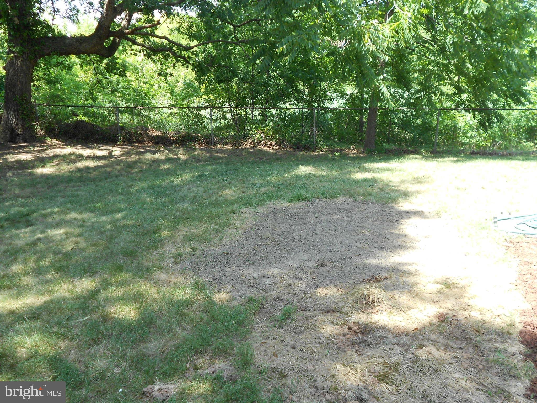 5724 Van Dyke Road Baltimore, MD 21206 - Photo 34 of 35 View of Private Side Yard