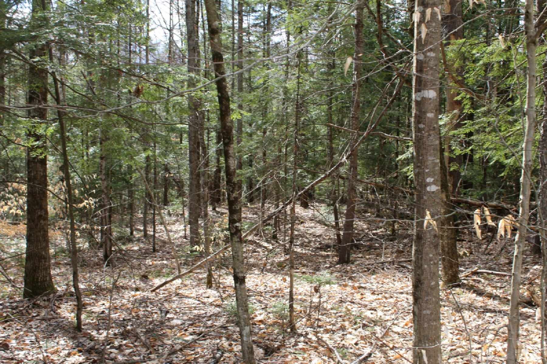 0 Oak Hill Road Enfield, NH 03748 - Photo 3 of 4