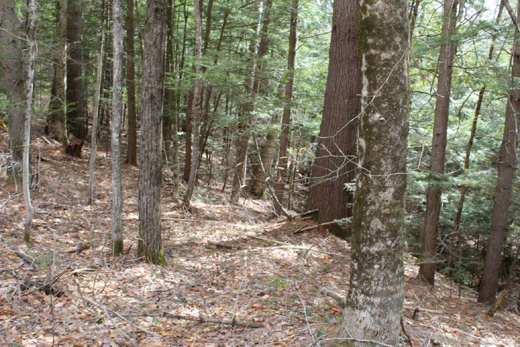 0 Oak Hill Road Enfield, NH 03748 - Photo 4 of 4