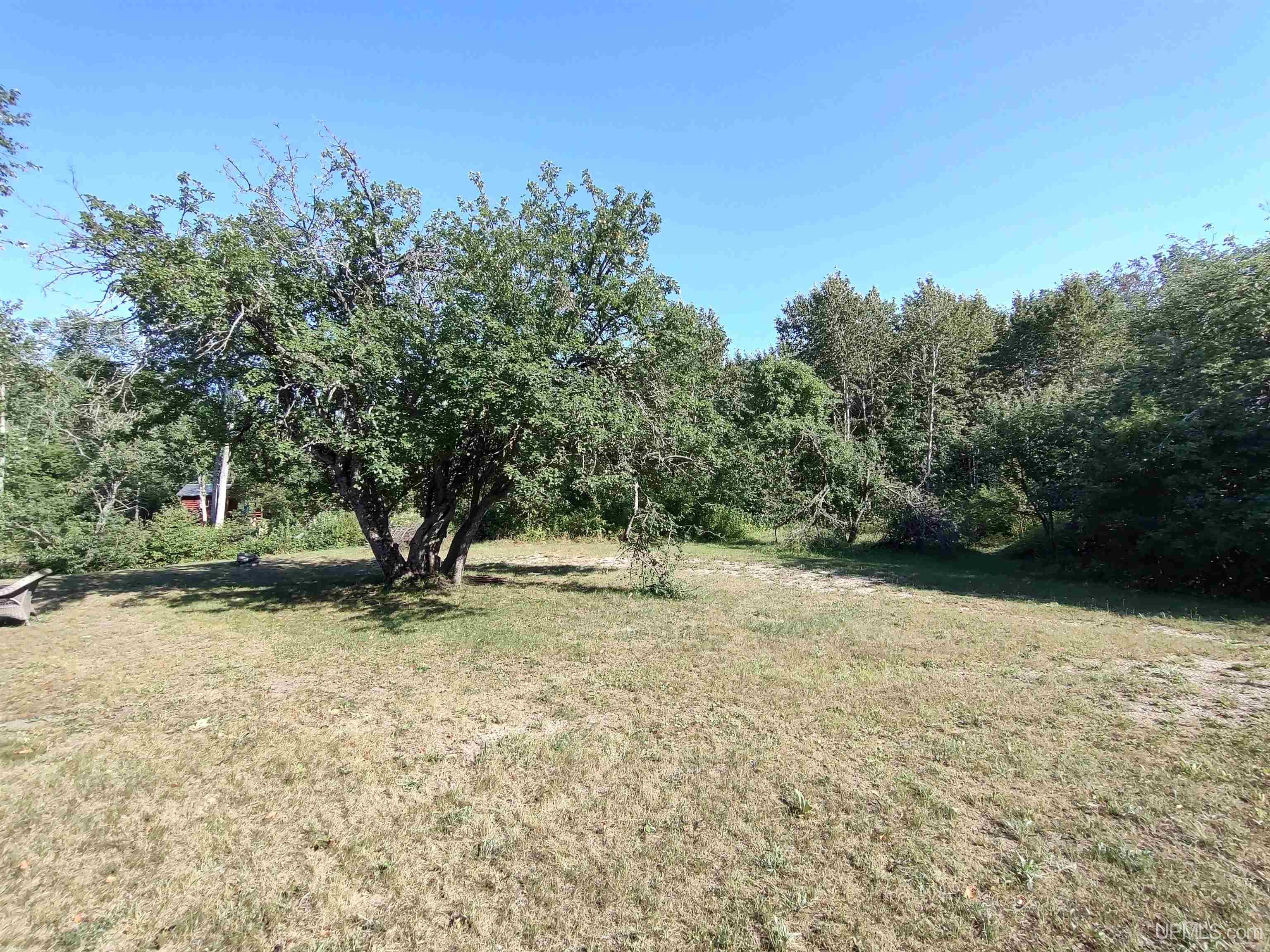387 Rd Mcmillan Mi 49853 Road Newberry, MI 49868 - Photo 40 of 78