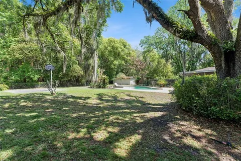 a view of a tree in a yard