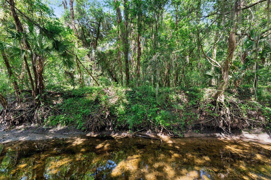 621 Little Wekiva Road Altamonte Springs, FL 32714 - Photo 37 of 51