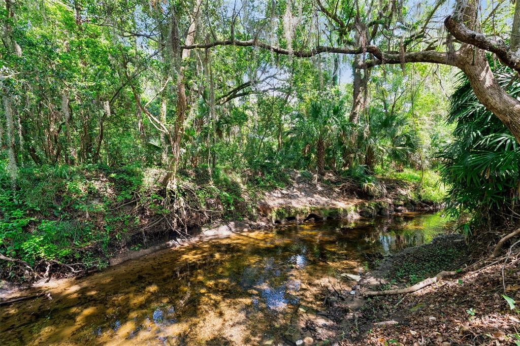 621 Little Wekiva Road Altamonte Springs, FL 32714 - Photo 38 of 51