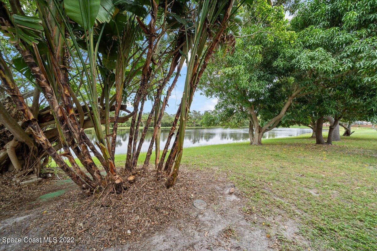 3709 Tree Line Boulevard Melbourne, FL 32935 - Photo 21 of 22 a view of outdoor space with deck and trees