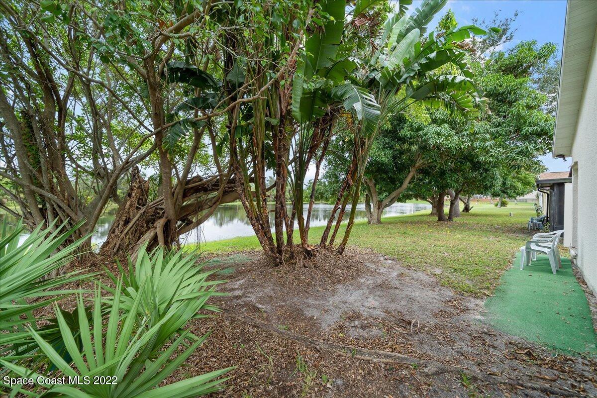 3709 Tree Line Boulevard Melbourne, FL 32935 - Photo 22 of 22 a view of a park with large trees