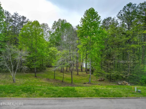 $89,900 | 768 Wood Duck Drive, Vonore, TN 37885
