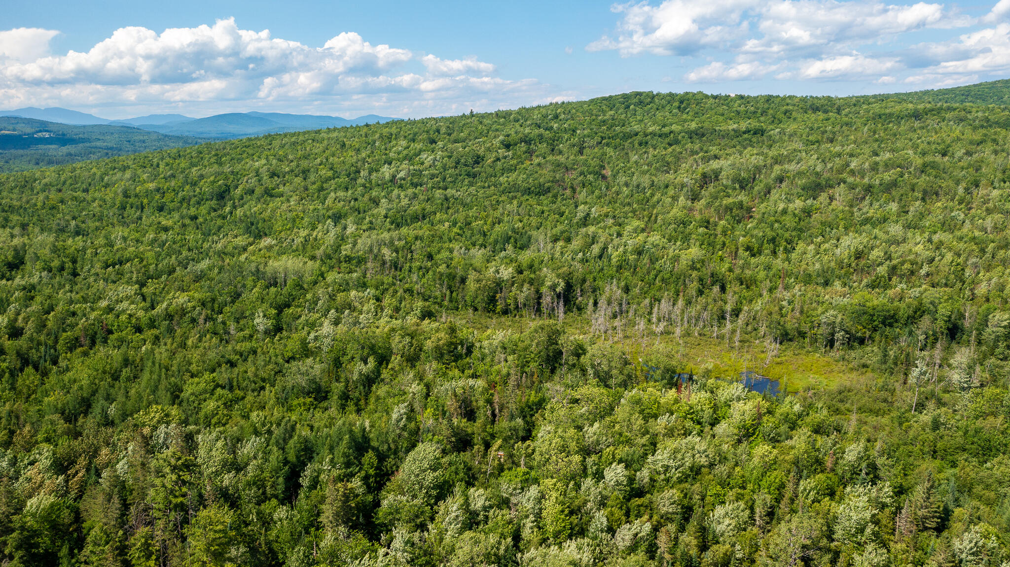 0 Miller Road New Vineyard, ME 04956 - Photo 32 of 48 MNewportland-25