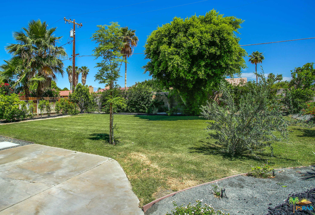 68120 Risueno Road Cathedral City, CA 92234 - Photo 29 of 35 a view of a garden with a tree
