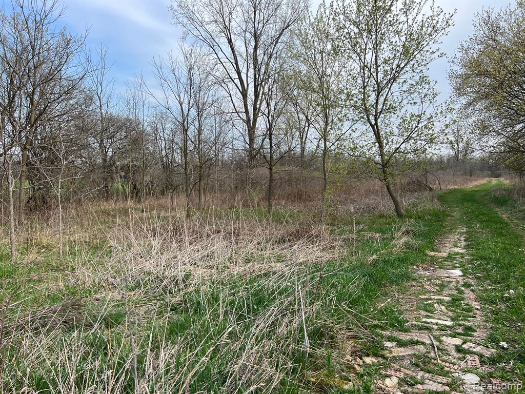 28 28 Mile Road New Haven, MI 48048 - Photo 12 of 20