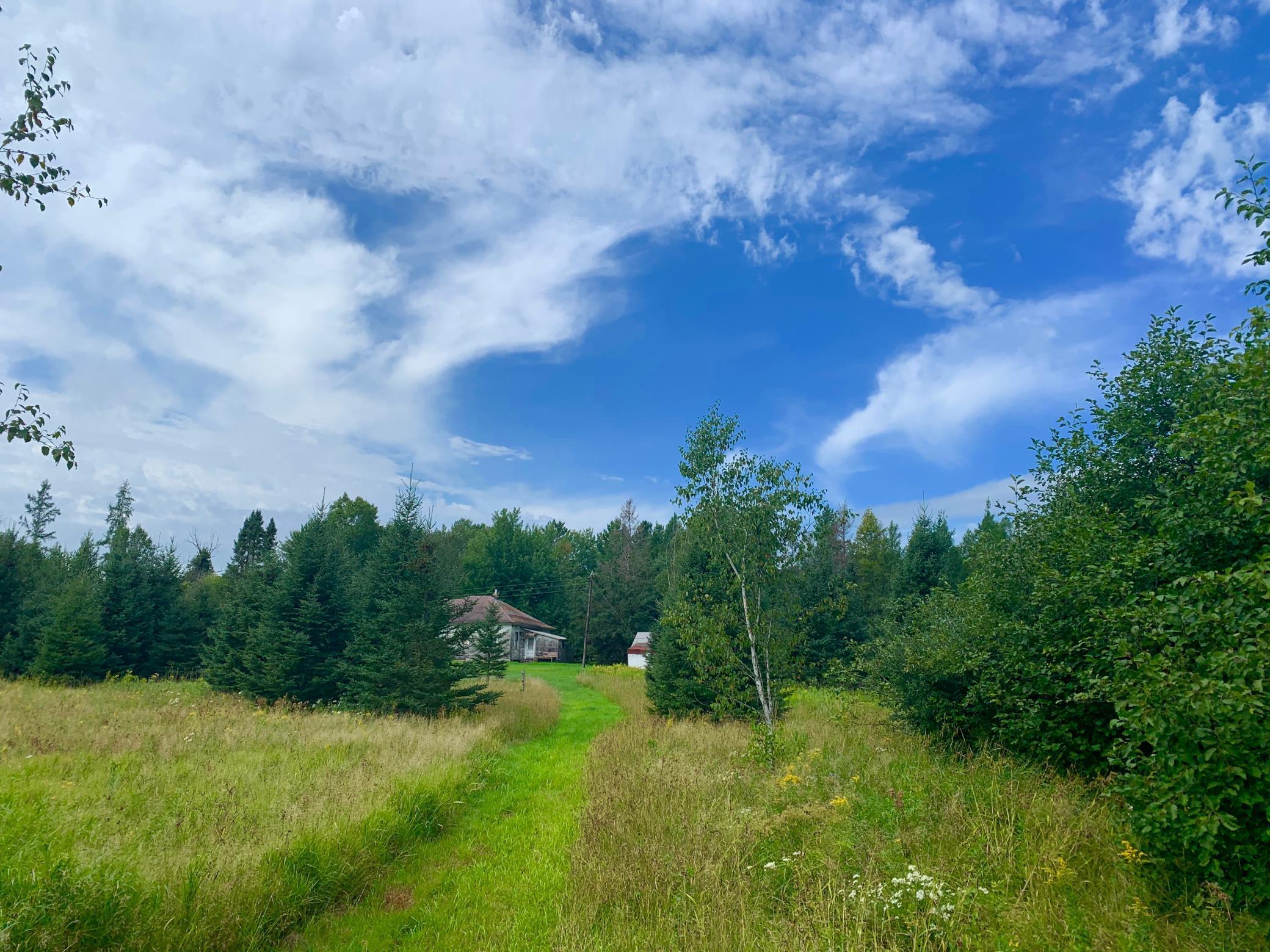 75111 McDermott Creek Road Sandstone, MN 55072 - Photo 1 of 1 Gallery Image 1
