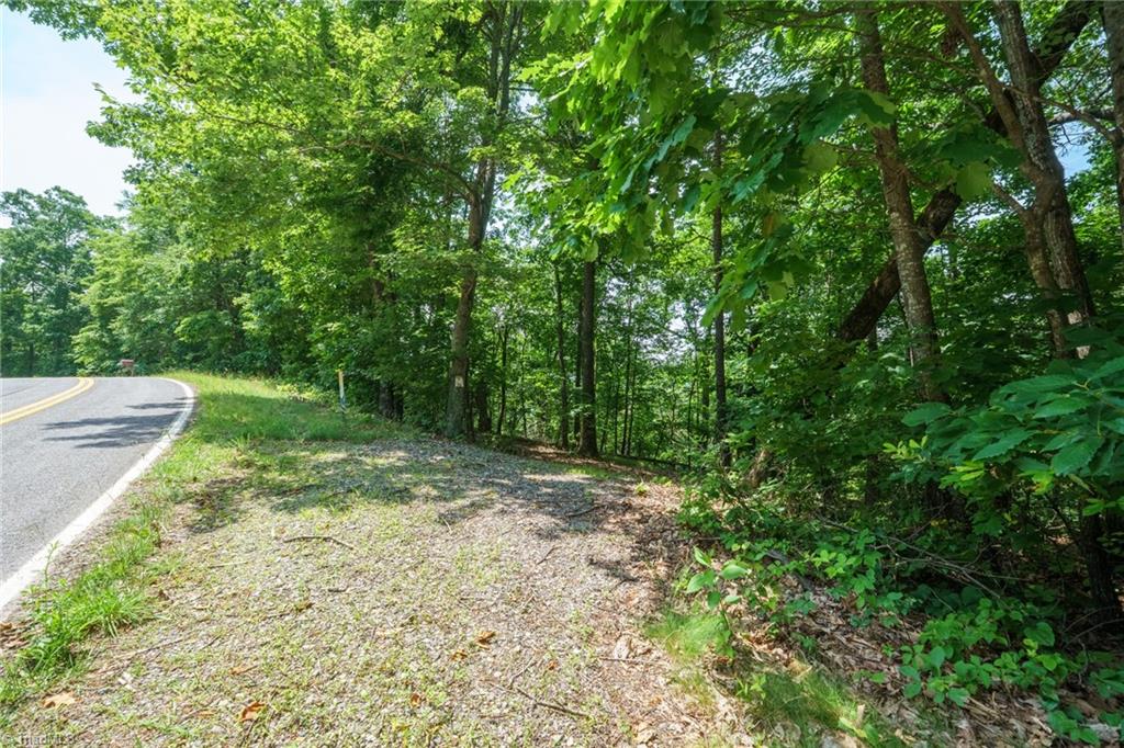 0 Hendren Road Moravian Falls, NC 28654 - Photo 4 of 13
