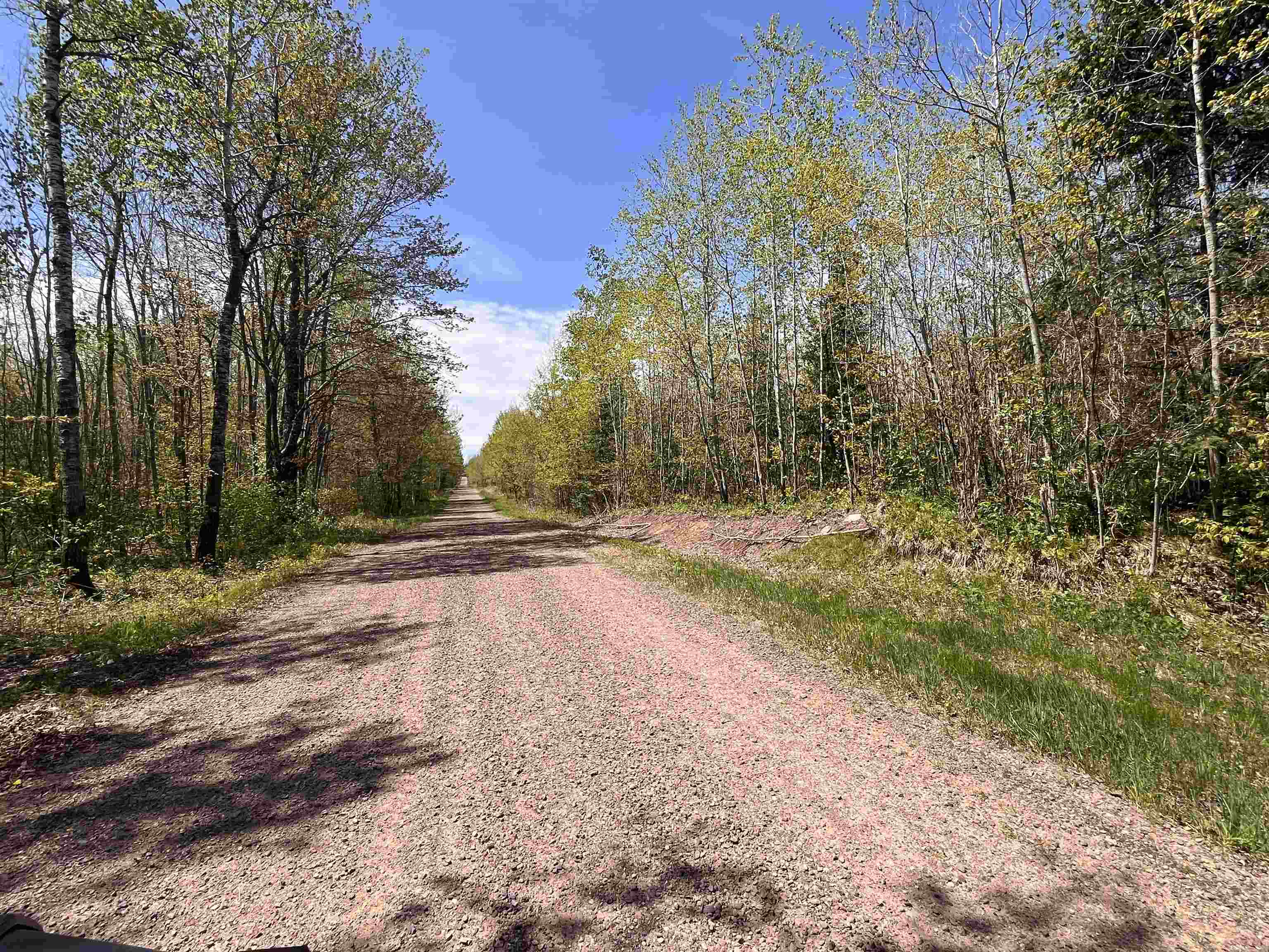 80-acres 80-acres Clausen Road Prentice, WI 54556 - Photo 11 of 17