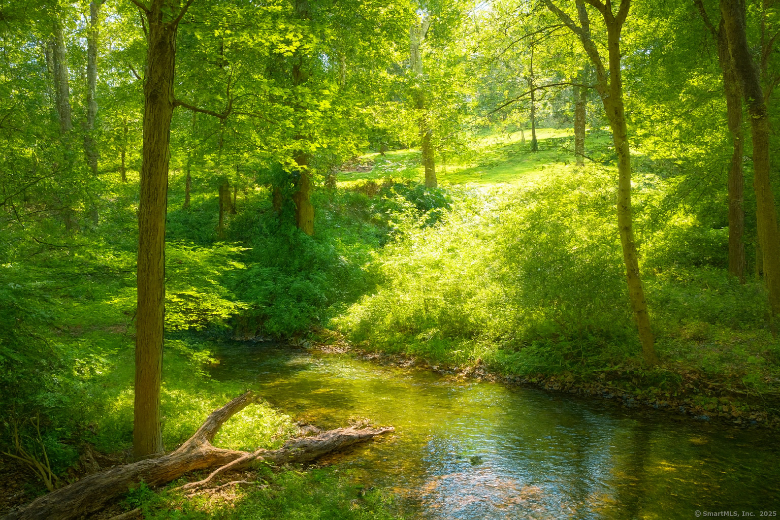 30 Cavalry Road Westport, CT 06880 - Photo 44 of 45 a view of yard