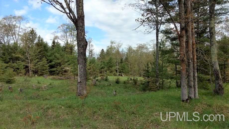 Tbd Boundary Road Chassell, MI 49931 - Photo 2 of 15
