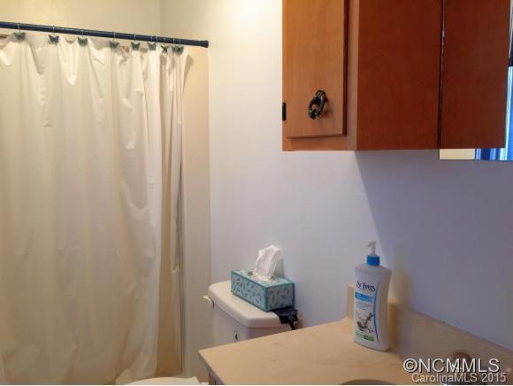 21 Smith Road Leicester, NC 28748 - Photo 19 of 21 Gallery Image 19