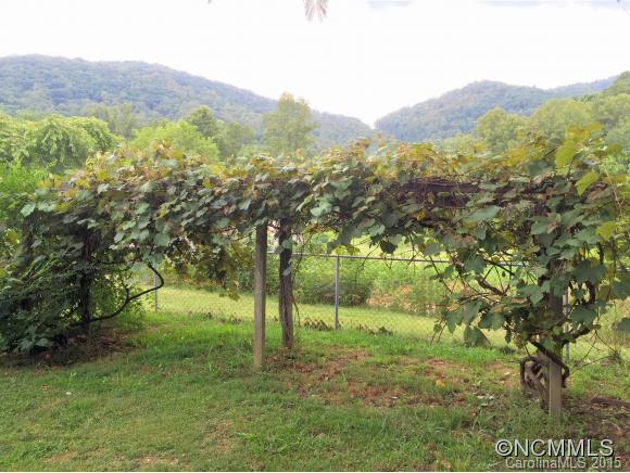 21 Smith Road Leicester, NC 28748 - Photo 21 of 21 Gallery Image 21