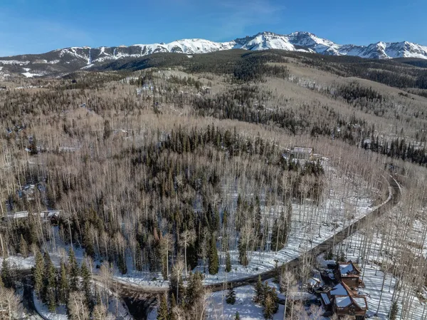 a view of a forest with a mountain